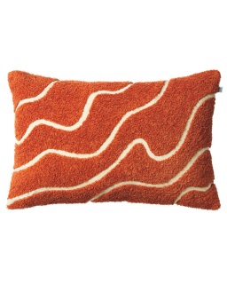 Kashi - Apricot Orange