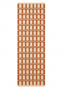 Mysore - Light Beige/Apricot Orange/Rust